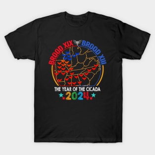 Cicada Brood USA Map Tsunami Bugs Brood XIX Brood XIII 13 Year Of The Cicada 2024 T-Shirt